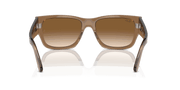 Clear & Brown Lenses, Polished Transparent Light Brown Frame