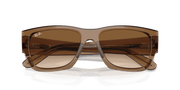 Clear & Brown Lenses, Polished Transparent Light Brown Frame