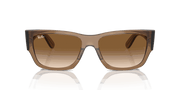 Clear & Brown Lenses, Polished Transparent Light Brown Frame