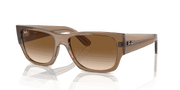 Clear & Brown Lenses, Polished Transparent Light Brown Frame