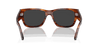 [Black Lenses, Polished Striped Havana Frame]