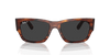 [Black Lenses, Polished Striped Havana Frame]