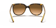 Light Brown Gradient Lenses, Polished Light Havana Frame