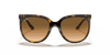 [Light Brown Gradient Lenses, Polished Light Havana Frame]