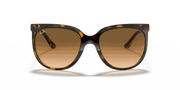 Light Brown Gradient Lenses, Polished Light Havana Frame