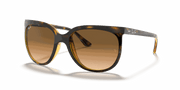 Light Brown Gradient Lenses, Polished Light Havana Frame