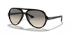 [Light Grey Gradient Lenses, Polished Black Frame]