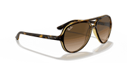 Light Brown Gradient Lenses, Polished Light Havana Frame