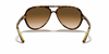 [Light Brown Gradient Lenses, Polished Light Havana Frame]