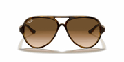 Light Brown Gradient Lenses, Polished Light Havana Frame