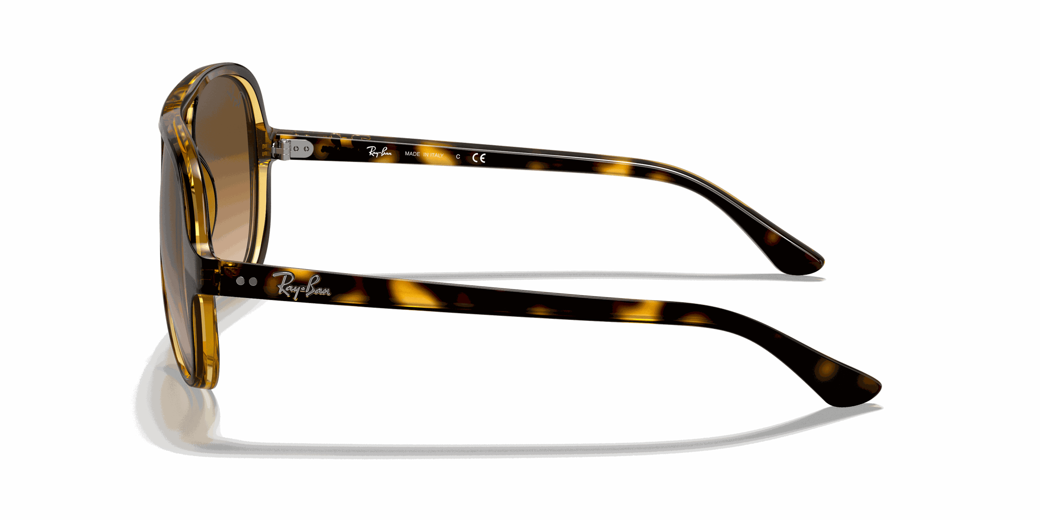 RayBan CATS 5000 CLASSIC