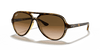 [Light Brown Gradient Lenses, Polished Light Havana Frame]