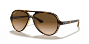 Light Brown Gradient Lenses, Polished Light Havana Frame