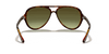 [Green Gradient Lenses, Polished Light Havana Frame]