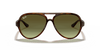 [Green Gradient Lenses, Polished Light Havana Frame]