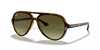 [Green Gradient Lenses, Polished Light Havana Frame]