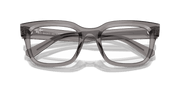 Clear Lenses, Polished Transparent Grey Frame