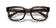 Clear Lenses, Polished Havana Frame