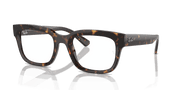 Clear Lenses, Polished Havana Frame