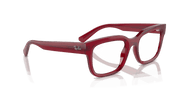 Clear Lenses, Polished Transparent Red Frame