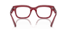 [Clear Lenses, Polished Transparent Red Frame]