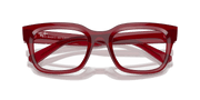 Clear Lenses, Polished Transparent Red Frame