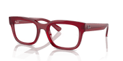 Clear Lenses, Polished Transparent Red Frame