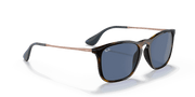 Blue Lenses, Polished Havana Frame