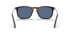 [Blue Lenses, Polished Havana Frame]