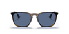 [Blue Lenses, Polished Havana Frame]