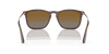 [Brown Lenses, Polished Transparent Brown Frame]