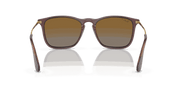 Brown Lenses, Polished Transparent Brown Frame