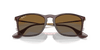 [Brown Lenses, Polished Transparent Brown Frame]