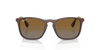 [Brown Lenses, Polished Transparent Brown Frame]