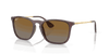 [Brown Lenses, Polished Transparent Brown Frame]