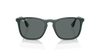 [Dark Grey Lenses, Polished Transparent Green Frame]