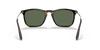 [Dark Green Lenses, Polished Light Havana Frame]