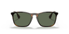 [Dark Green Lenses, Polished Light Havana Frame]