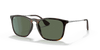 [Dark Green Lenses, Polished Light Havana Frame]