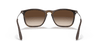 [Brown Gradient Lenses, Matte Havana Frame]