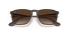 [Brown Gradient Lenses, Matte Havana Frame]