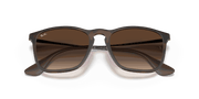 Brown Gradient Lenses, Matte Havana Frame