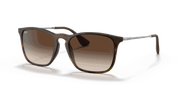 Brown Gradient Lenses, Matte Havana Frame