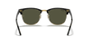 [G-15 Green Lenses, Polished Black On Gold Frame]