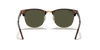 [G-15 Green Lenses, Polished Tortoise On Gold Frame]