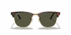 [G-15 Green Lenses, Polished Tortoise On Gold Frame]