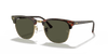 [G-15 Green Lenses, Polished Tortoise On Gold Frame]