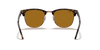 [B-15 Brown Lenses, Polished Havana Frame]