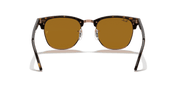 B-15 Brown Lenses, Polished Havana Frame