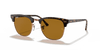 [B-15 Brown Lenses, Polished Havana Frame]